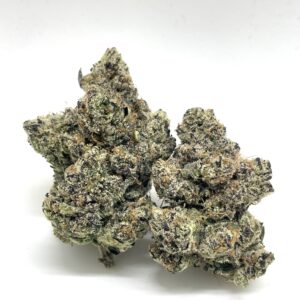 Lemon Tree (Secret stash)