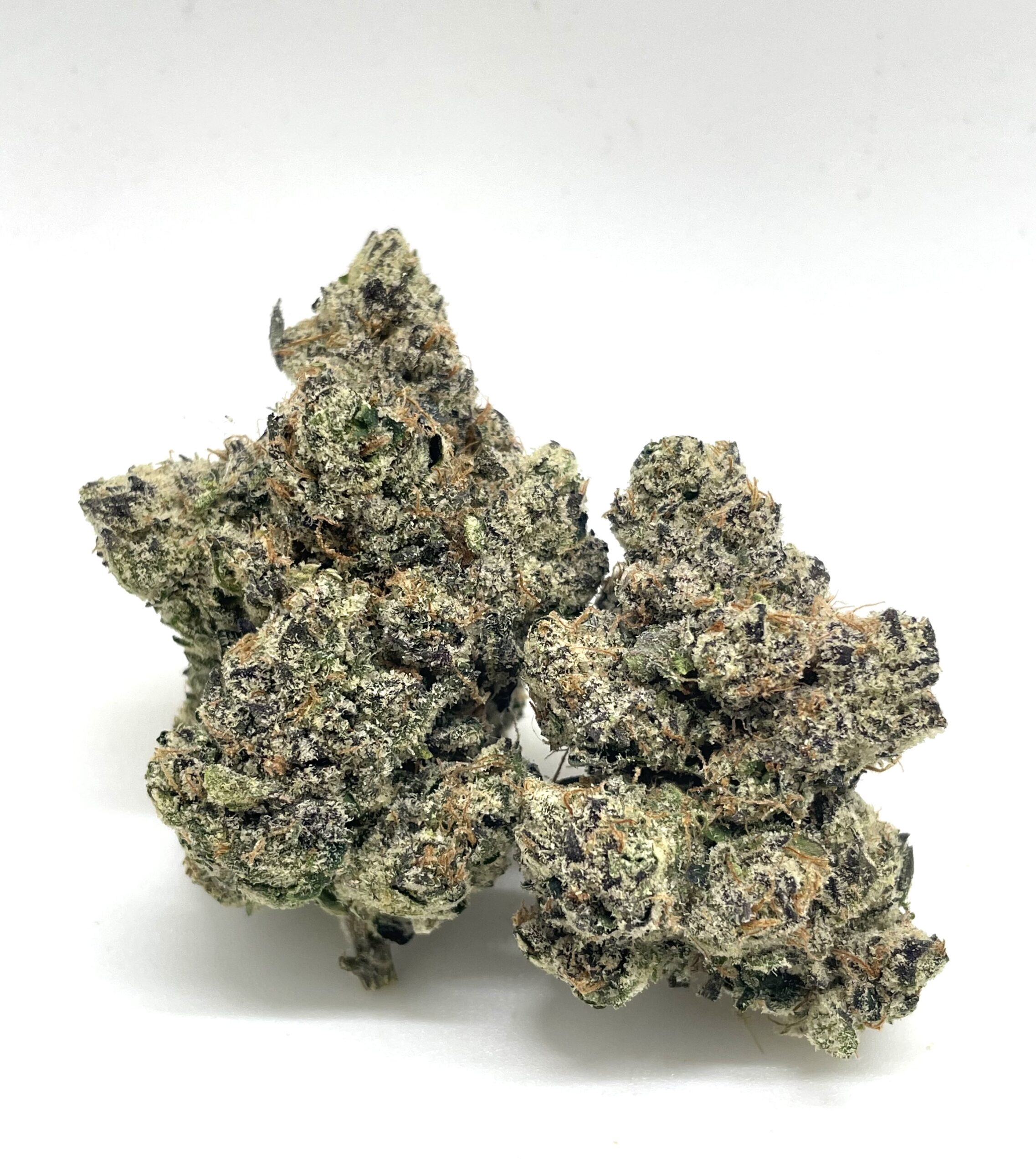 Lemon Tree (Secret stash)