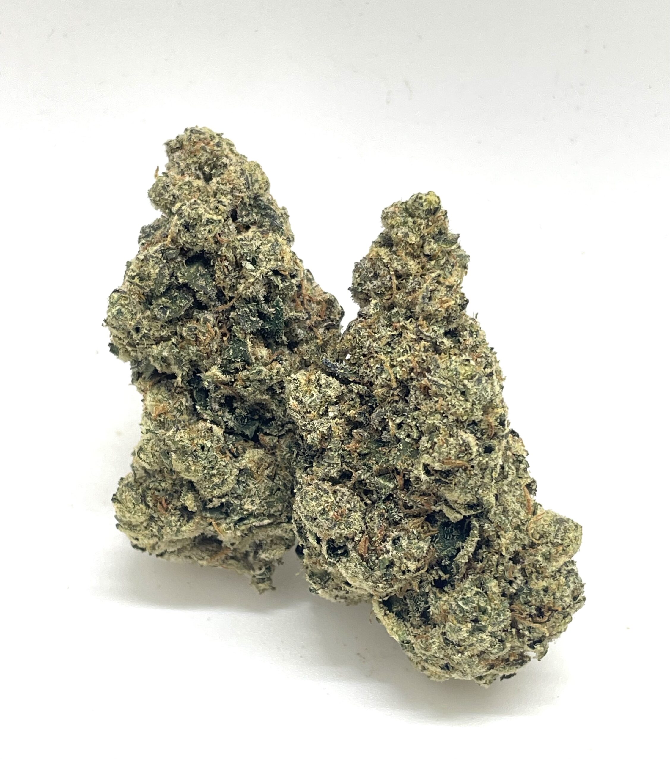 Northern OG (Secret stash)