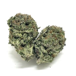 1/2 OZ (14G) Gingerbread Cookie (Bomb)