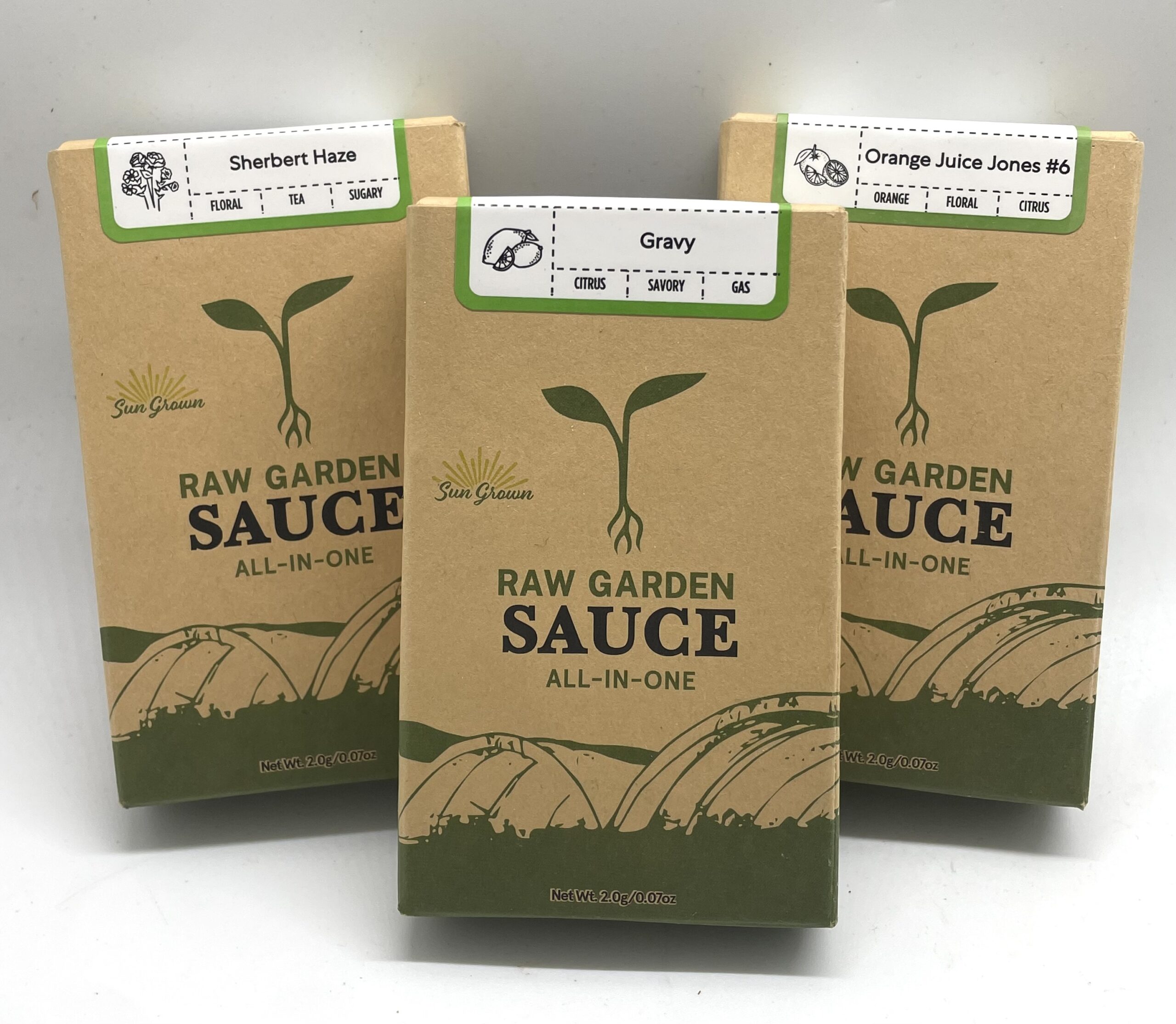 2G Raw Garden Sauce Disposable