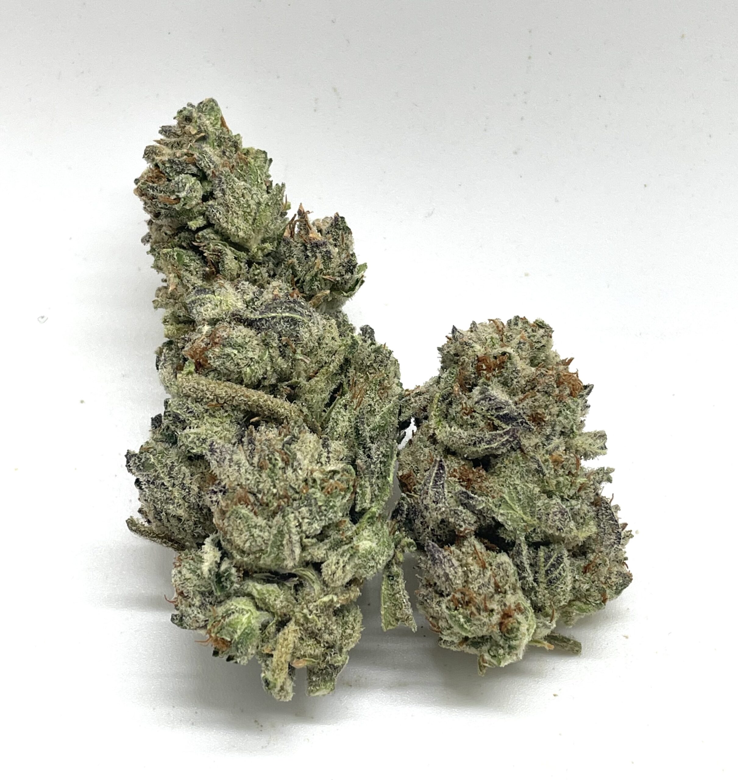 1/2 OZ (14G) Ice cream cake (Bomb)