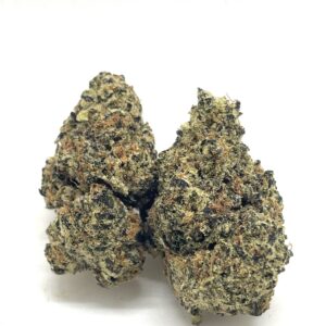 1/2 OZ (14G) Gorilla Zkittles (Bomb)