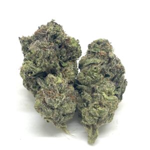 1/2 OZ (14G) Gusherz (Bomb)