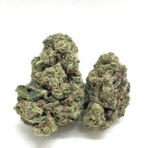 1/2 OZ (14G) Government Oasis (Bomb)