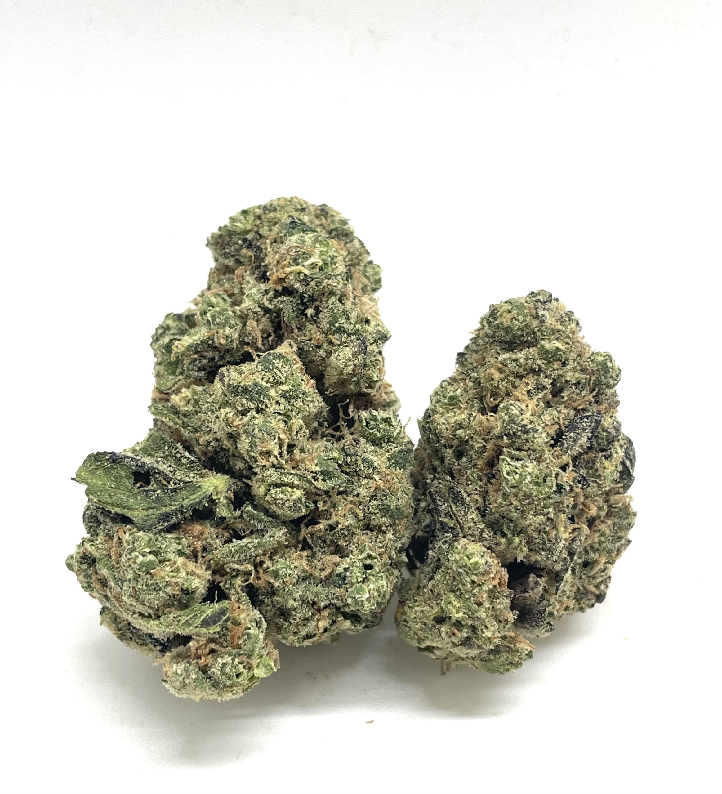 1/2 OZ (14G) Government Oasis (Bomb)